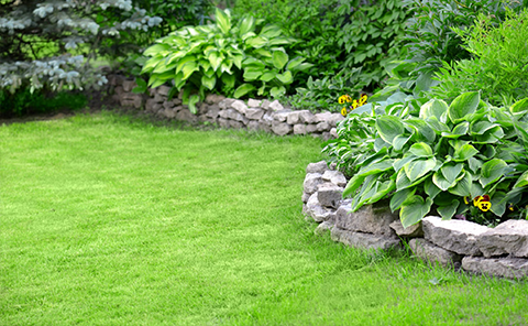 Featured Image - Lawn Care